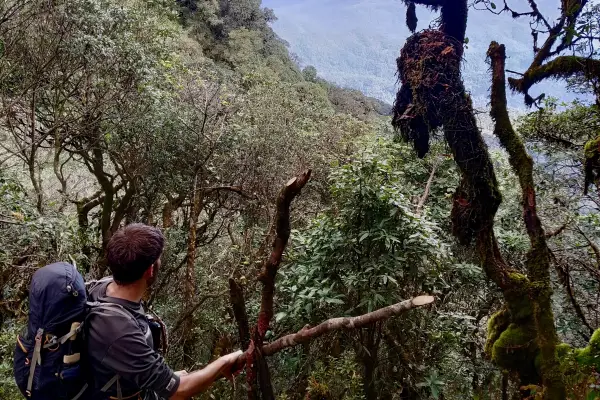 4 วัน 3 คืน 'Cloud Forest Challenge' Trek