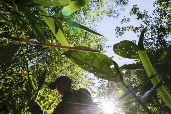 การเดินป่าสุดท้าทาย (แบบไม่มีบ้านพัก) 4 วัน 3 คืน