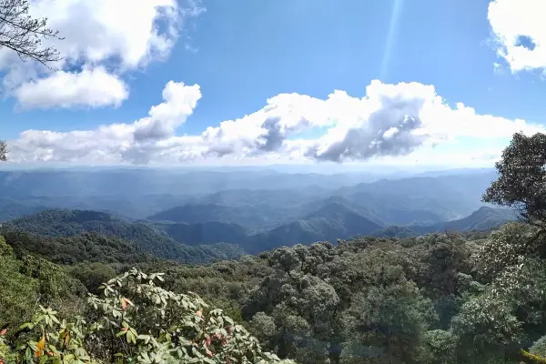 ຄວາມທ້າທາຍໃນປ່ານໍ້າໝອກ ( ບໍ່ລວມເຮືອນຮັງນົກ ແລະ ບໍ່ລວມໂຮມສະເຕ )