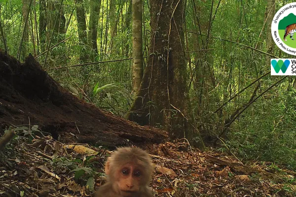 3天2夜“瀑布和鸟巢”徒步旅行