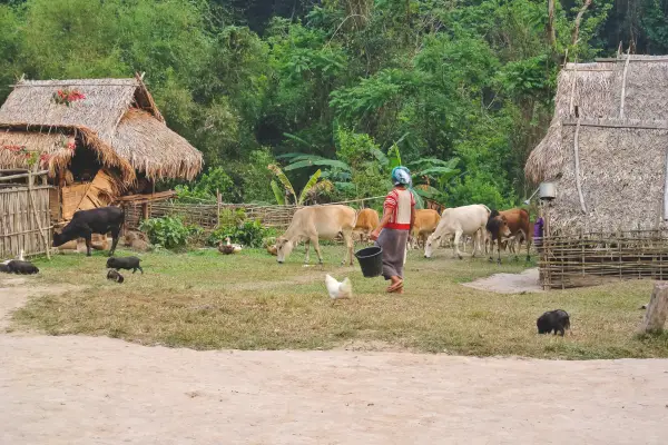 Nam Ha Trekking Immersion