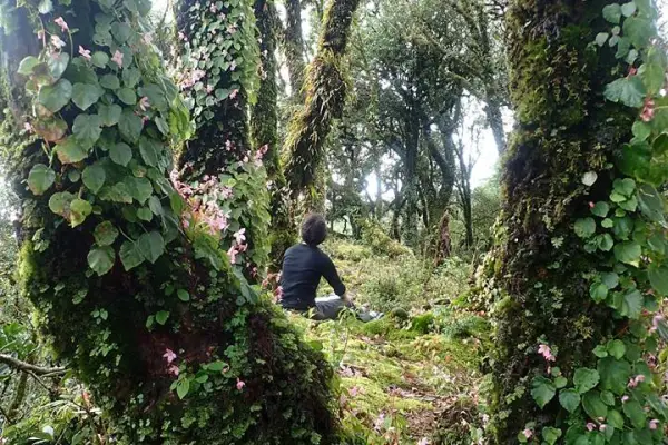 การเดินป่าสุดท้าทาย (แบบไม่มีบ้านพัก) 4 วัน 3 คืน