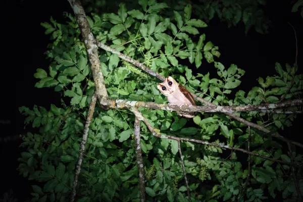 24小时 - 南纳恩河冒险游}