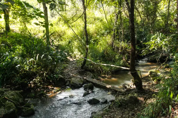 การเดินป่าสุดท้าทาย (แบบไม่มีบ้านพัก) 4 วัน 3 คืน