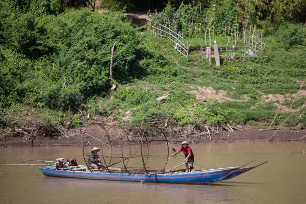ລ່ອງເຮືອວັດພູ 3 ມື້ 2 ຄືນ – ລ່ອງເຮືອຂາລົງ (ລ່ອງລົງ)