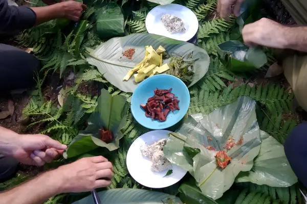 ຄວາມທ້າທາຍໃນປ່ານໍ້າໝອກ ( ບໍ່ລວມເຮືອນຮັງນົກ ແລະ ບໍ່ລວມໂຮມສະເຕ )