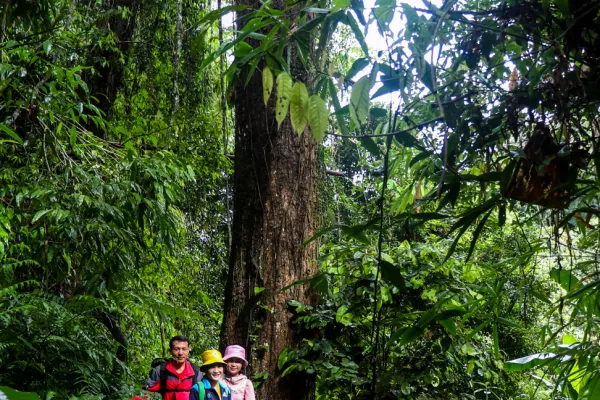 3天2夜“瀑布和鸟巢”徒步旅行