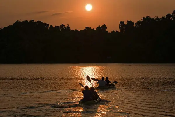 Wildlife Volunteering in Sayabouly: An Unforgettable Week of Eco Adventures with Elephants