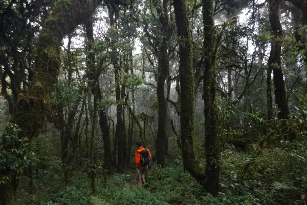 4 วัน 3 คืน 'Cloud Forest Challenge' Trek