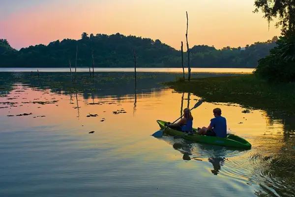 Experience Elephant Conservation Center in Sayabouly: A 2 Days - 1 Night Adventure