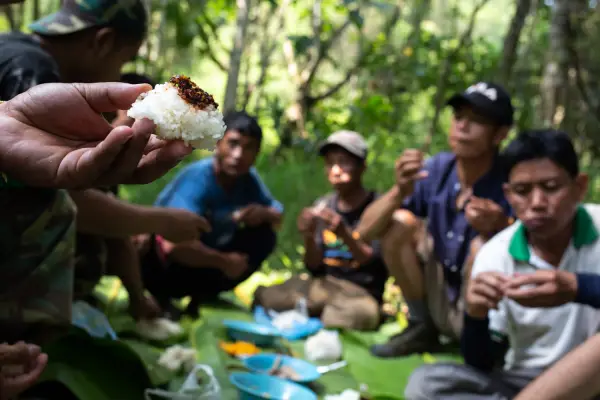 ຄວາມທ້າທາຍໃນປ່ານໍ້າໝອກ ( ບໍ່ລວມເຮືອນຮັງນົກ ແລະ ບໍ່ລວມໂຮມສະເຕ )