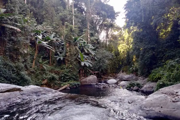 4 วัน 3 คืน 'Cloud Forest Challenge' Trek