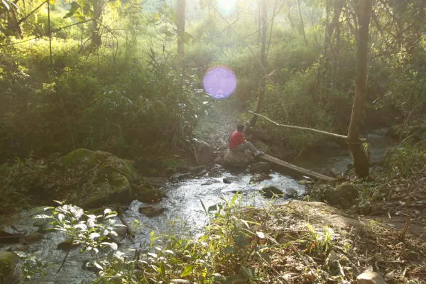 3天2夜“瀑布和鸟巢”徒步旅行