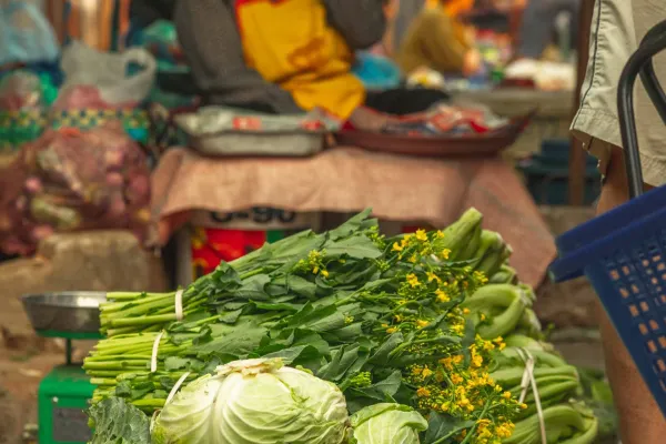 ชีวิตของชาวใต้}