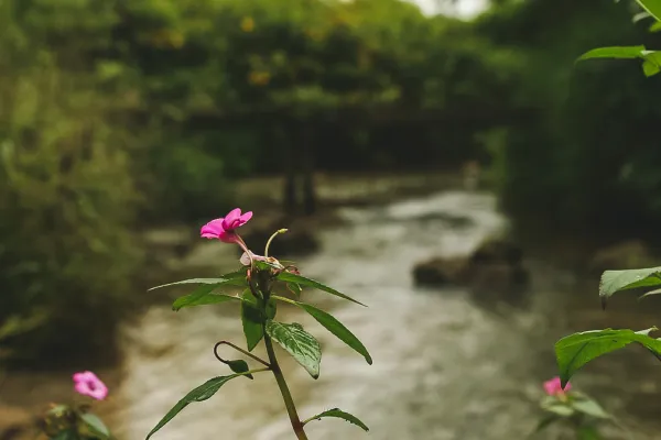 ຄວາມລັບທີ່ສວຍງາມຂອງທຳມະຊາດເມືອງວັງວຽງ