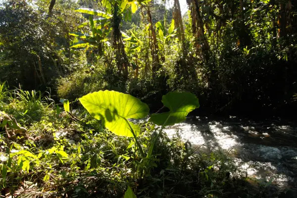 การเดินป่าสุดท้าทาย (แบบไม่มีบ้านพัก) 4 วัน 3 คืน