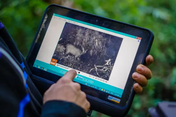 ຄວາມທ້າທາຍໃນປ່ານໍ້າໝອກ ( ບໍ່ລວມເຮືອນຮັງນົກ ແລະ ບໍ່ລວມໂຮມສະເຕ )