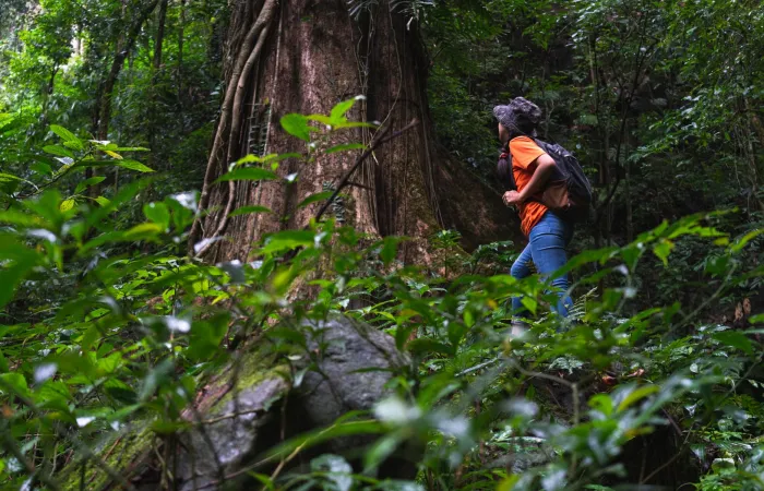 ການທ່ອງທ່ຽວທາງທຳມະຊາດ ແບບອານຸລັກ