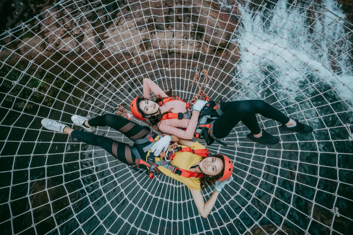 ຕາໜ່າງແມງມູມ