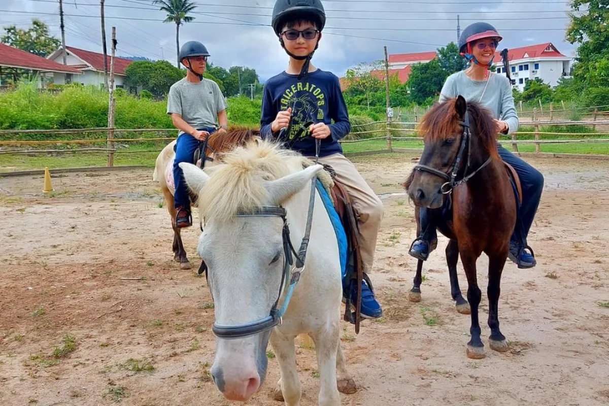 Pony Ride Experience in Luang Prabang