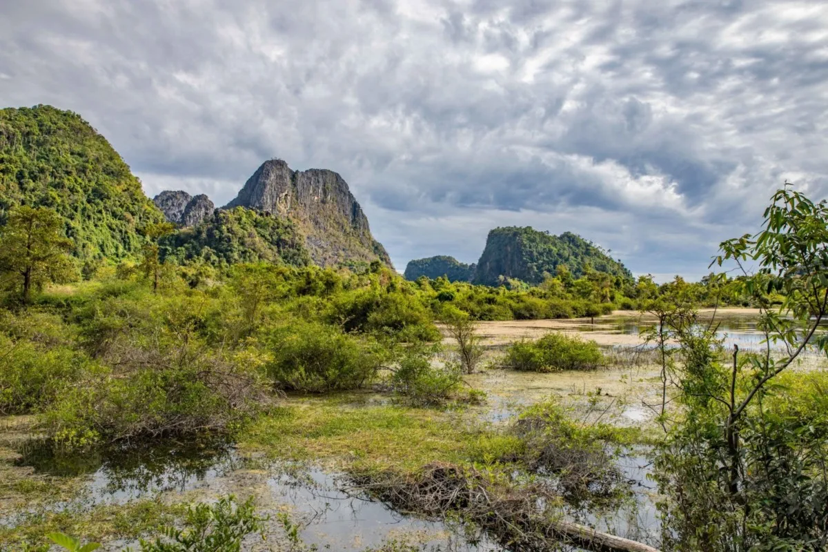 拍摄者：Tarannosaurus