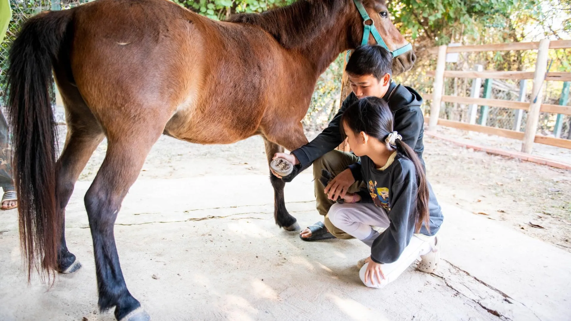 Pony Ride Experience in Luang Prabang