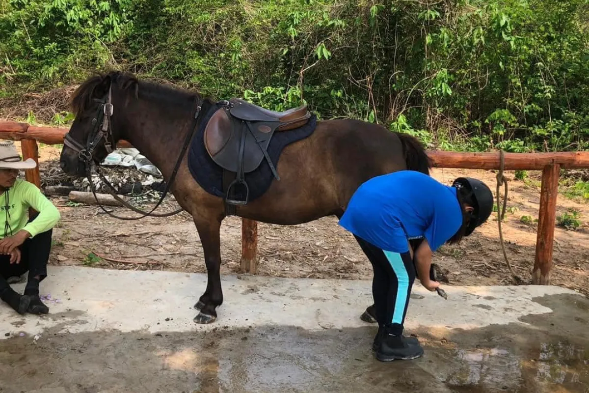 Pony Ride Experience in Luang Prabang