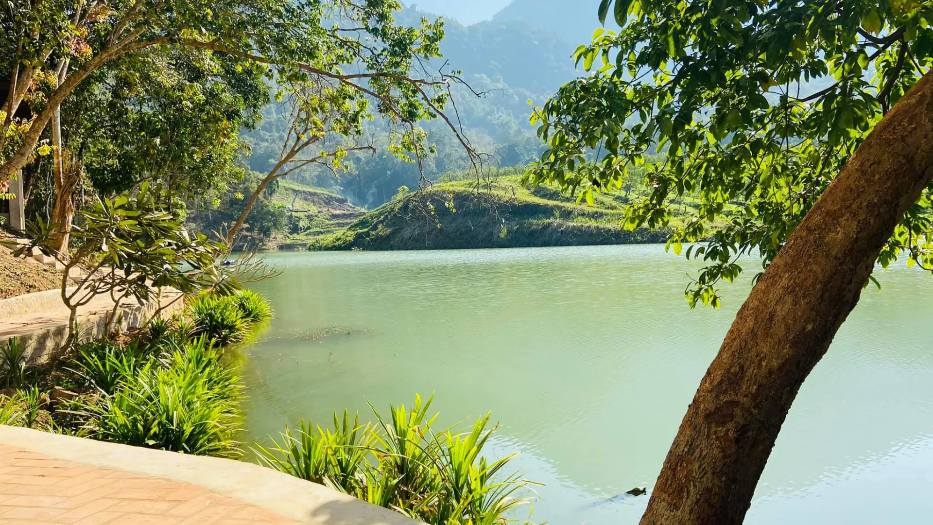 Farm River View