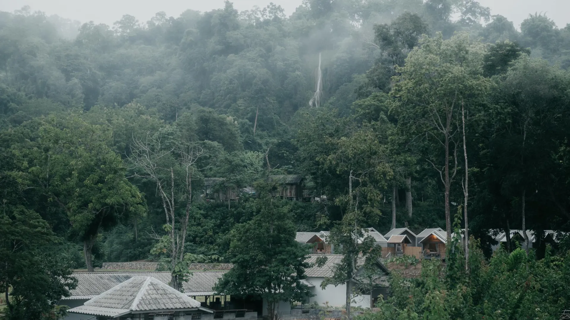 Tad Hoi Khua Falls / Green Jungle
