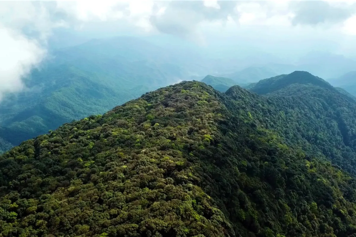 ອຸທິຍານແຫ່ງຊາດນໍ້າ​ແອດ-​ພູ​ເລີຍ