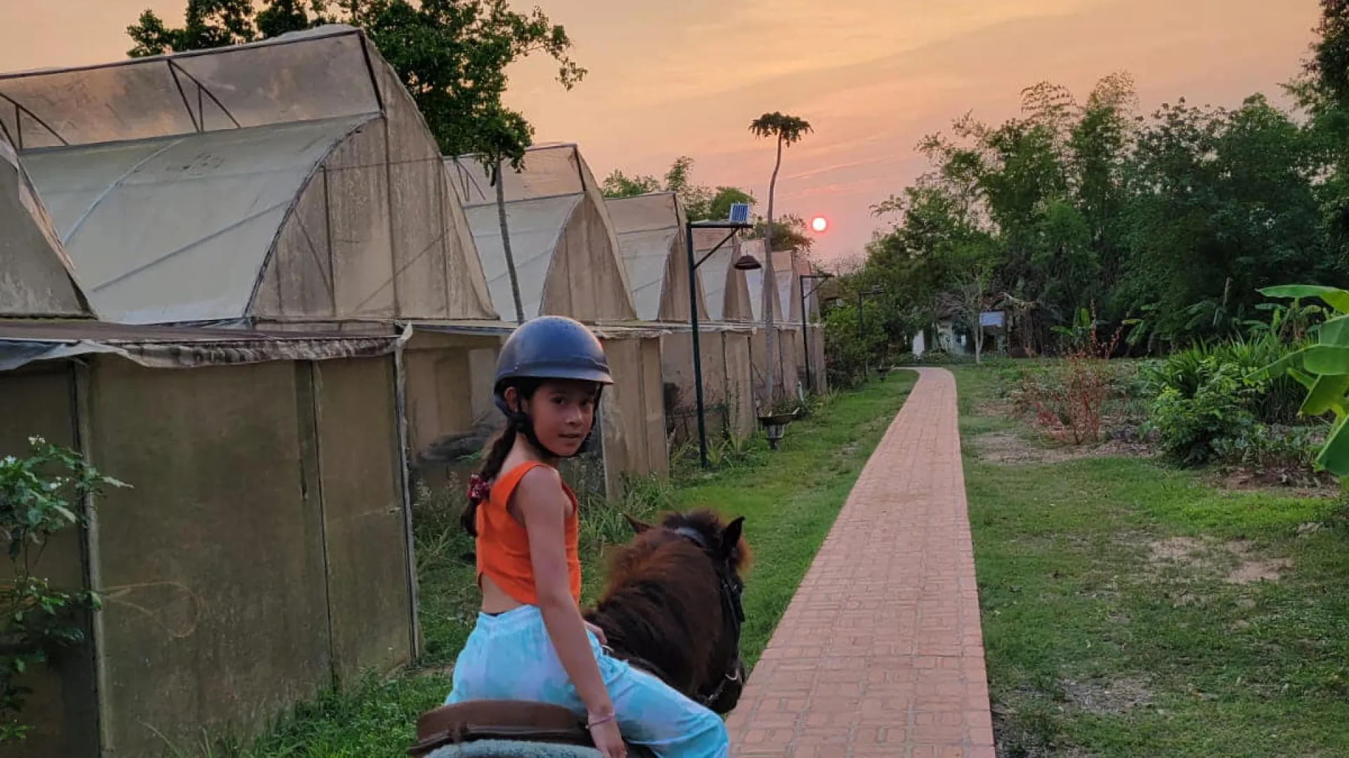 Pony Ride Experience in Luang Prabang