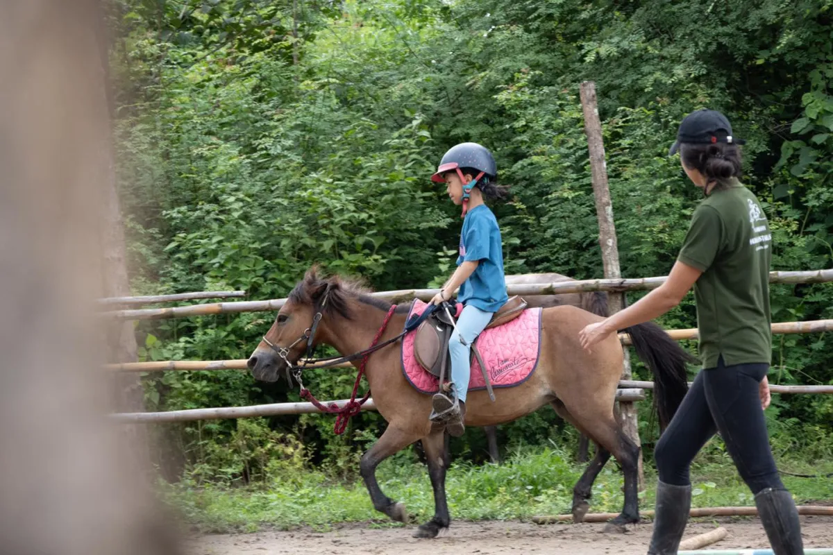 Pony Ride Experience in Luang Prabang