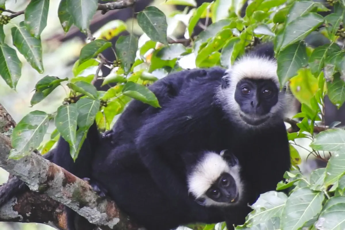 The Rock Viewpoint at Phou Pha Marn