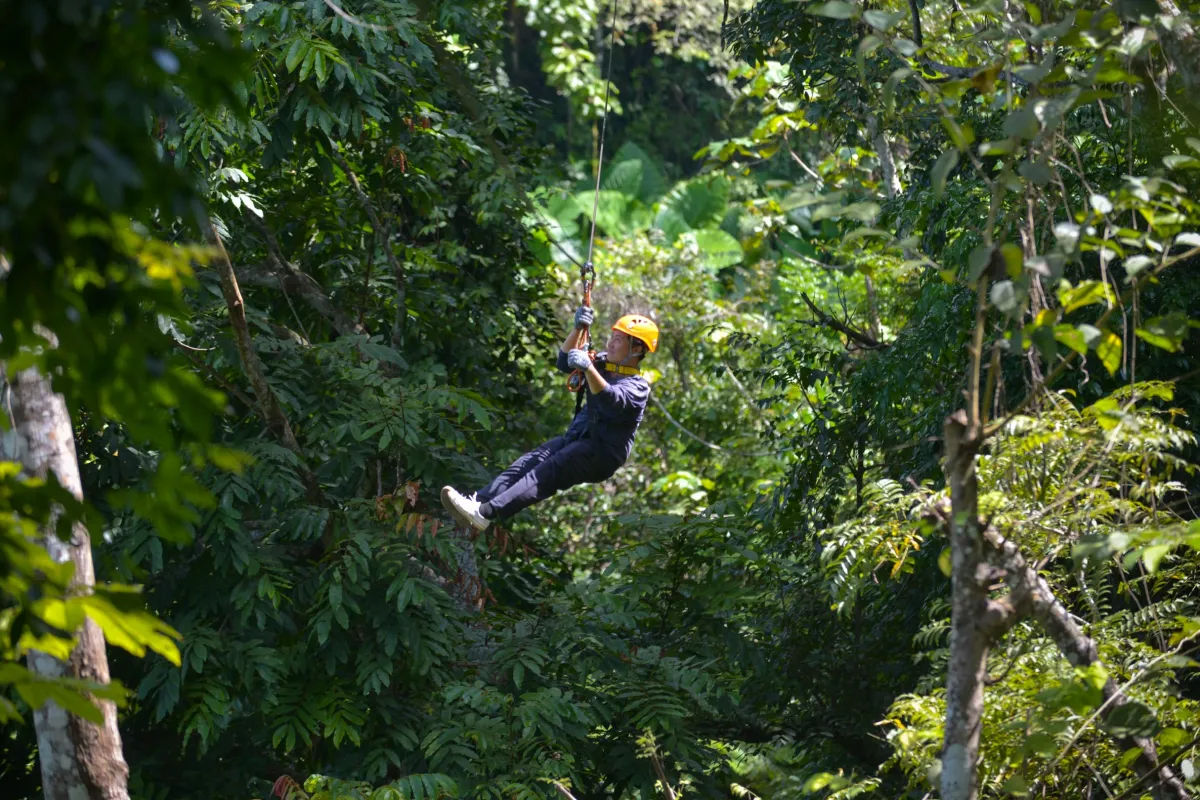 Zip-Line at NahmDongPark