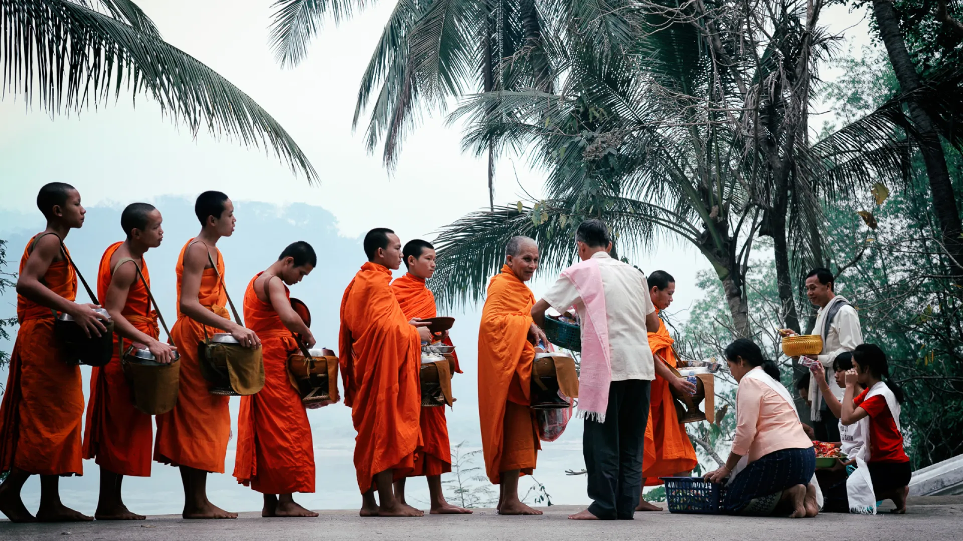 Alms Giving Ceremony in Luang Prabang (Tak Bat)