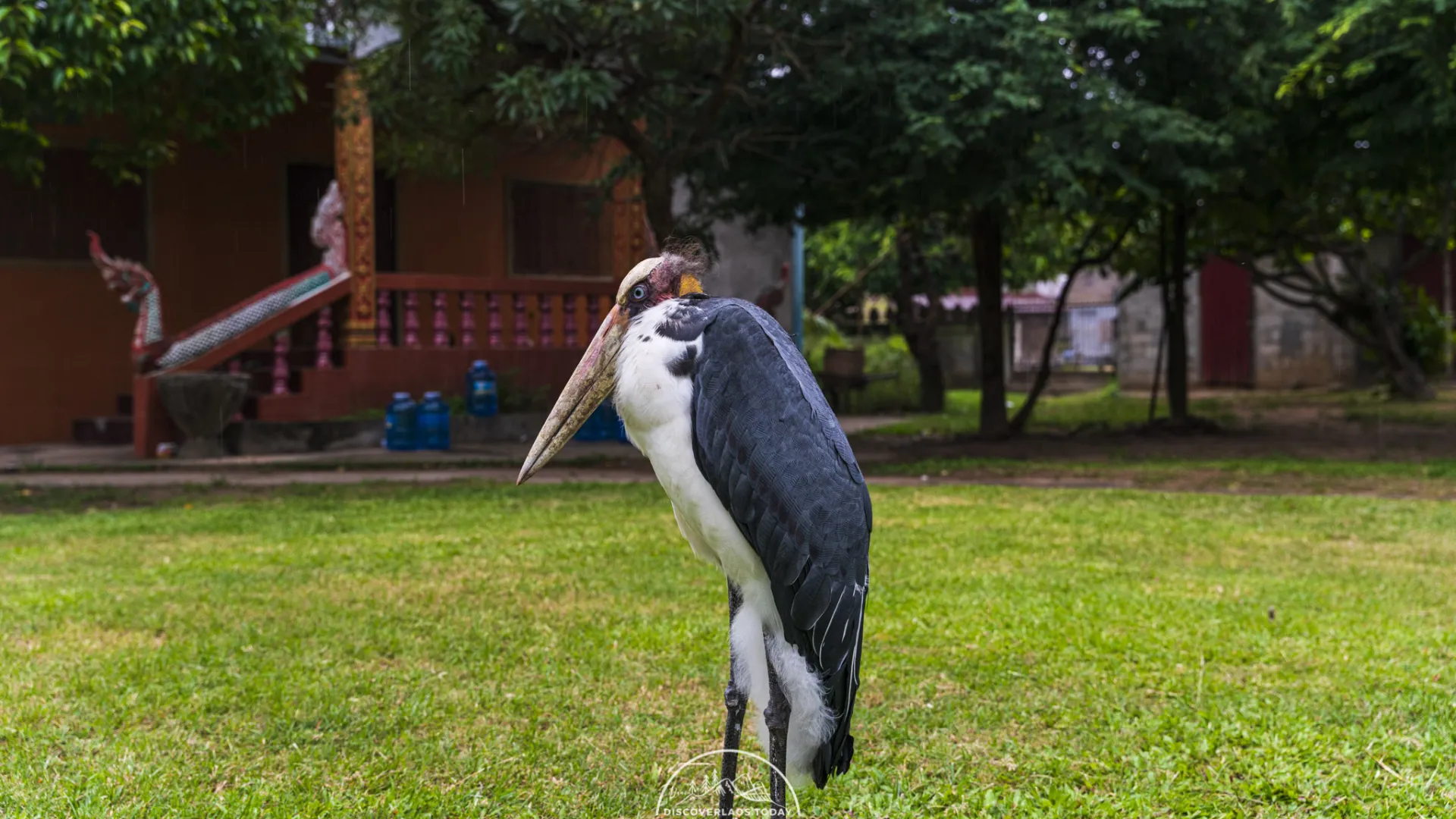 Ho Tay Pidok Library (Ancient Buddhist Scripts Library)
