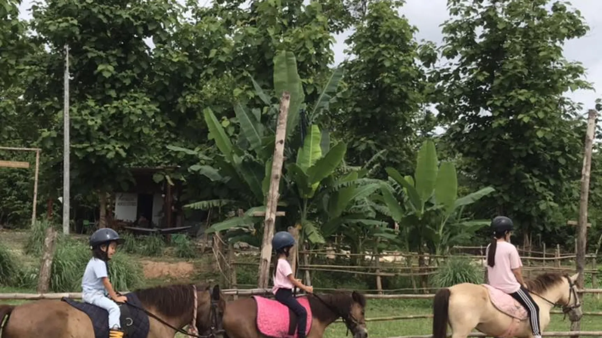 Pony Ride Experience in Luang Prabang