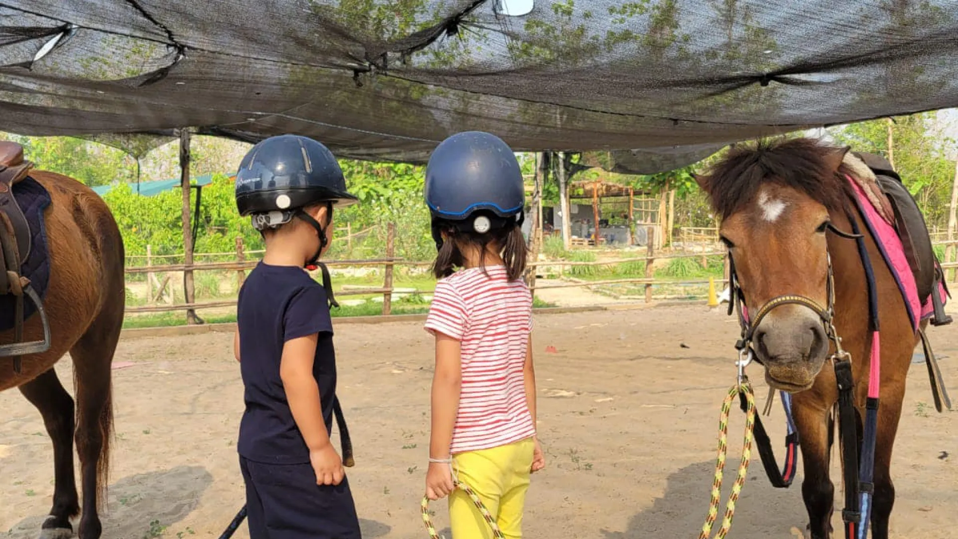 Pony Ride Experience in Luang Prabang