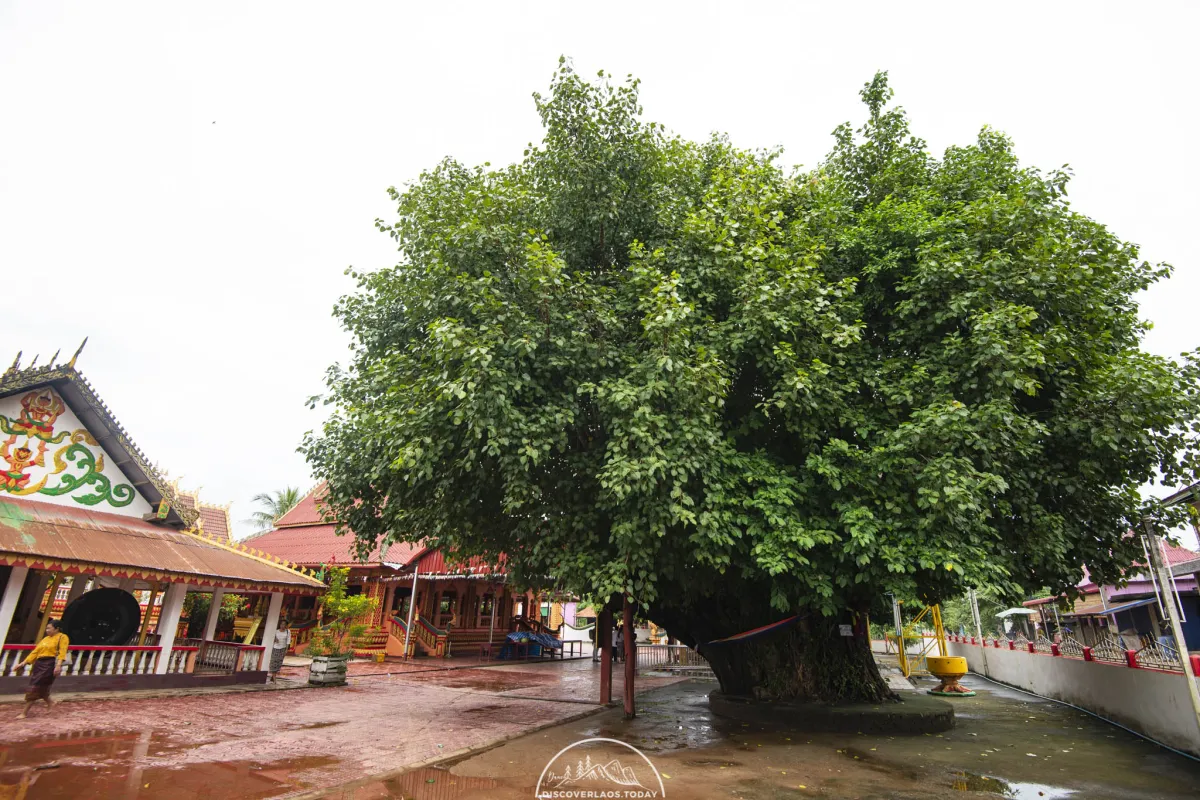 Vat Sakhae or Vat Ong Saen