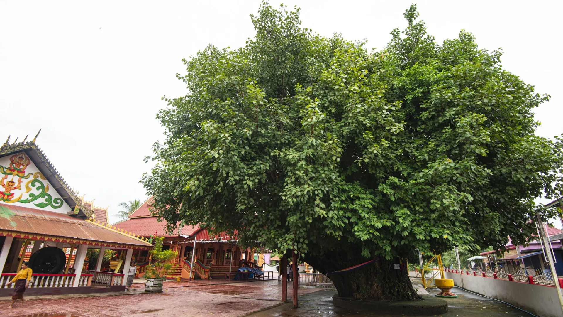 Vat Sakhae or Vat Ong Saen