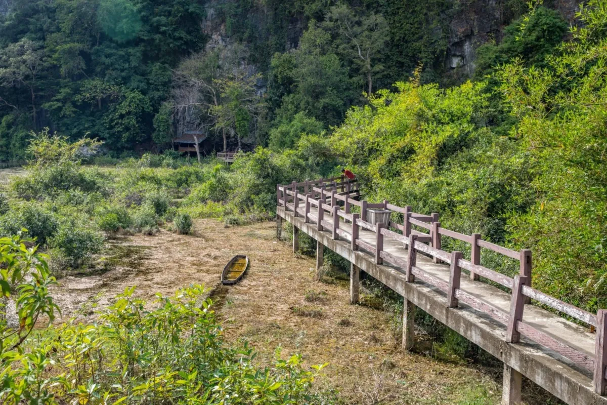 拍摄者：Tarannosaurus