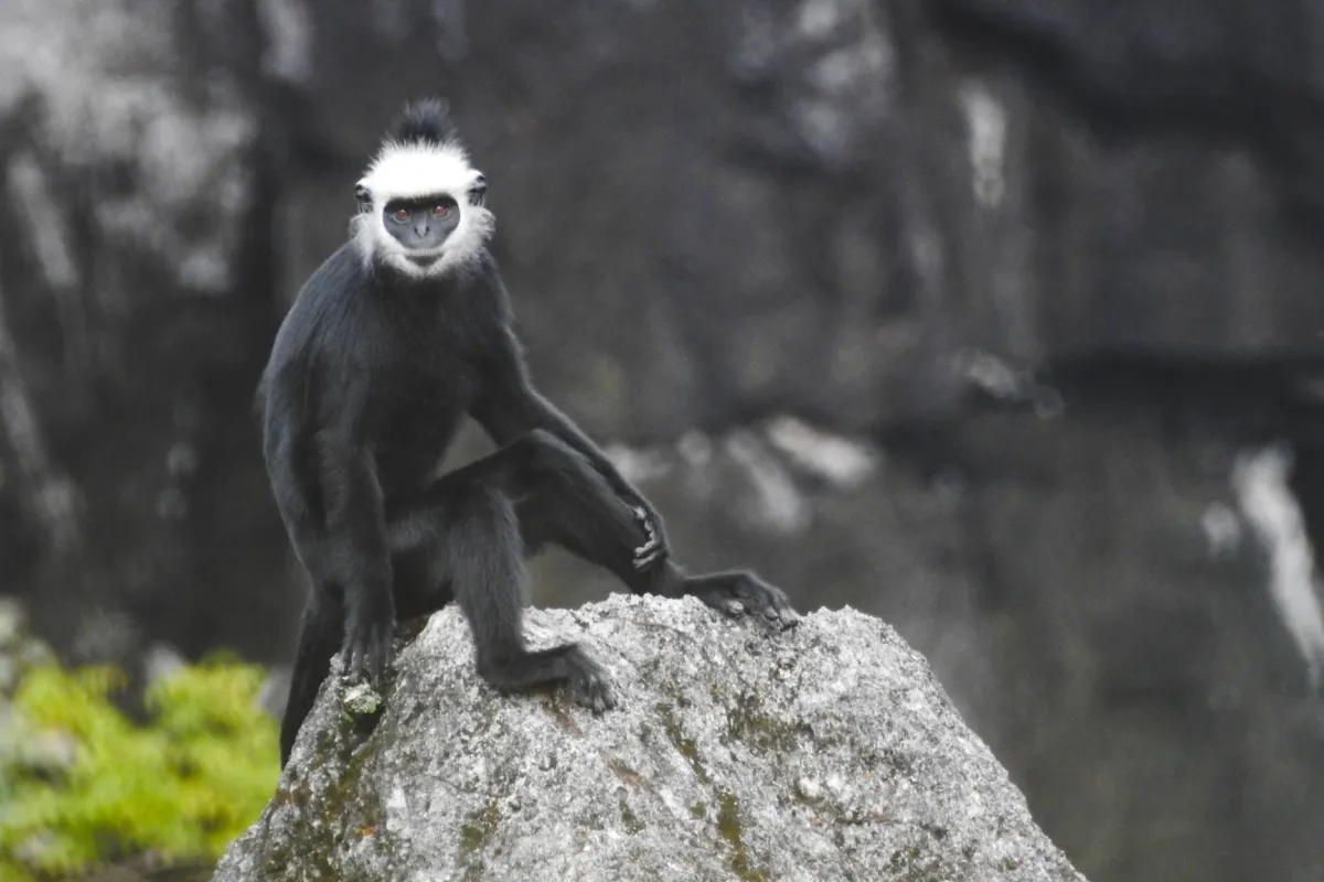 The Rock Viewpoint at Phou Pha Marn
