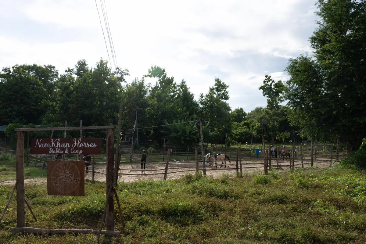 Pony Ride Experience in Luang Prabang