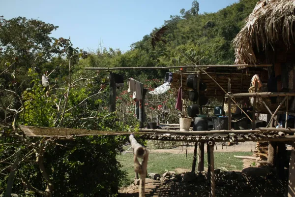 Akha Homestay Experience