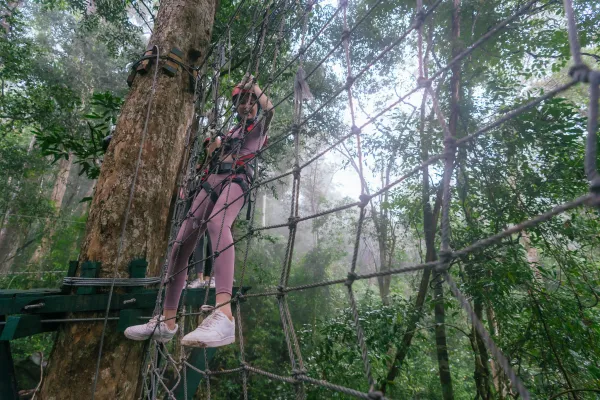 Package D | Water Park > Zip Line > Tree Top at Nam Pien Yorlapa