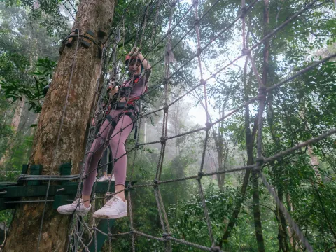 Package D | Water Park > Zip Line > Tree Top at Nam Pien Yorlapa