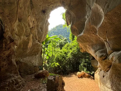 2-Day Ghost Cave Trek & Jungle Overnight Adventure