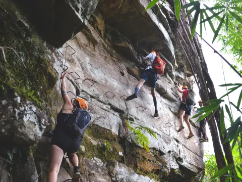 กิจกรรมบ้านต้นไม้ (3 วัน/2 คืน)