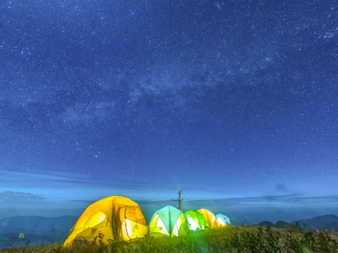 เดินป่า, ตั้งแคมป์ ภูหญ้าคา, ดูทะเลหมอก