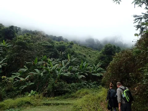 Nam Oun Wilderness Trail